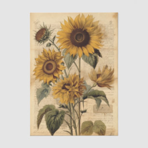 Vibrant Sunflowers and Vintage Script Tissue Paper