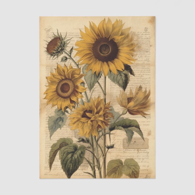 Vibrant Sunflowers and Vintage Script Tissue Paper (Front)