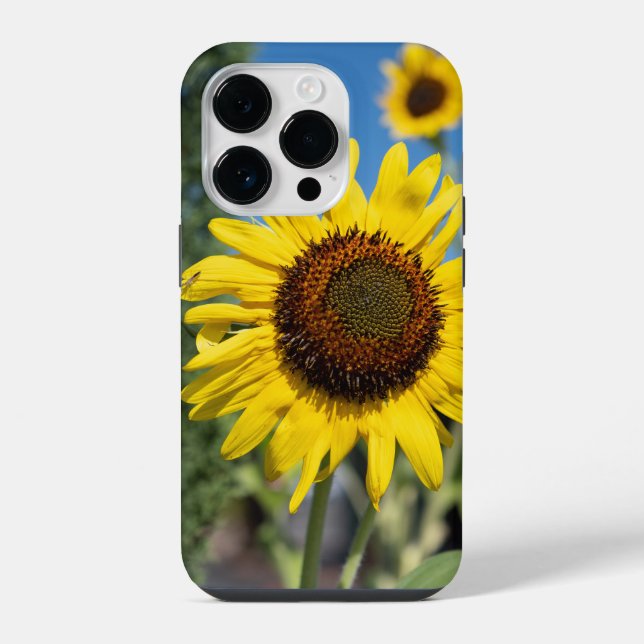 Vibrant Sunflowers iPhone Case (Back)