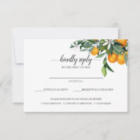 Vibrant Tangerine Citrus Orange Meal Choice RSVP