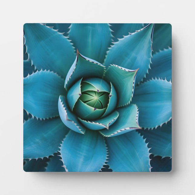 Vibrant Teal Agave Succulent Macro Geometric  Plaque (Front)