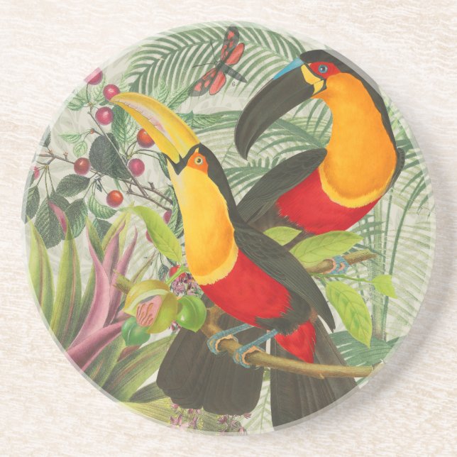 Vibrant Tropical Toucan Birds Art Exotic Jungle  Coaster (Front)