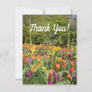 Vibrant Tulip Garden Thank You Card