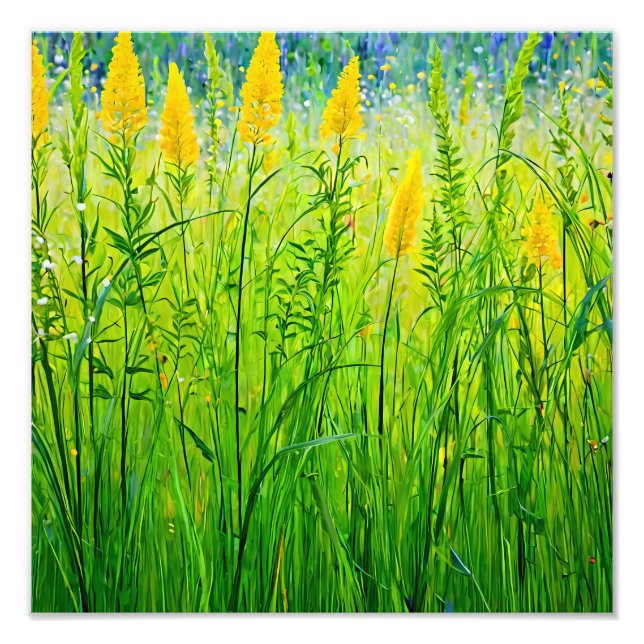 Vibrant Wildflowers in Summer Sun Photo Print (Front)