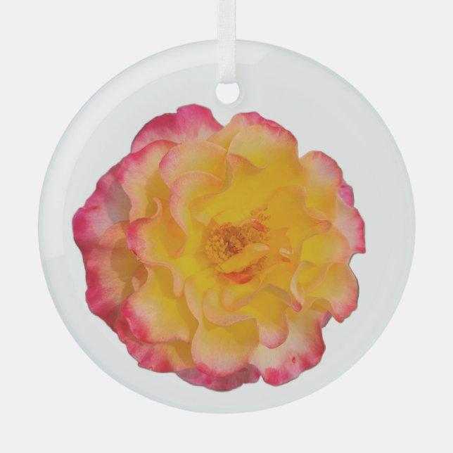 Vibrant Yellow and Pink Rose Glass Ornament (Front)