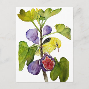 Vibrant Yellow Bird with Purple Figs Watercolor Postcard