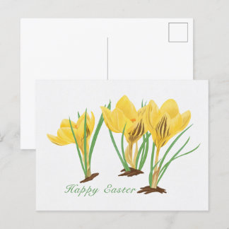 Vibrant Yellow Crocus Flowers Happy Easter Holiday Postcard