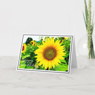 Vibrant Yellow Sunflower Closeup in Field Card