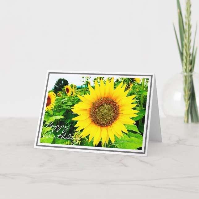 Vibrant Yellow Sunflower Closeup in Field Card (Front)