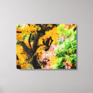Vibrant Zen Garden Canvas Print