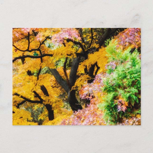 Vibrant Zen Garden Postcard (Front)