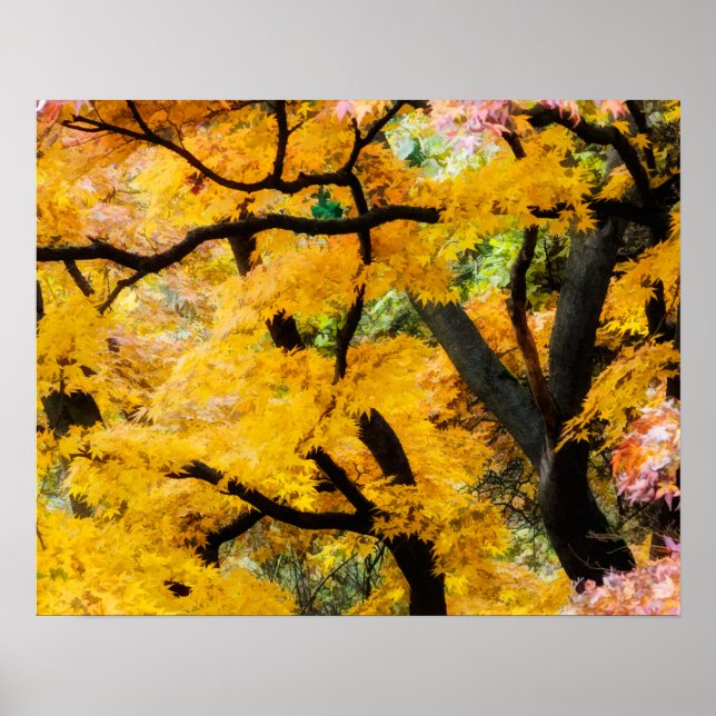 Vibrant Zen Garden Poster (Front)