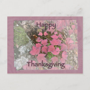Viburnum Fall Foliage Happy Thanksgiving Items Holiday Postcard