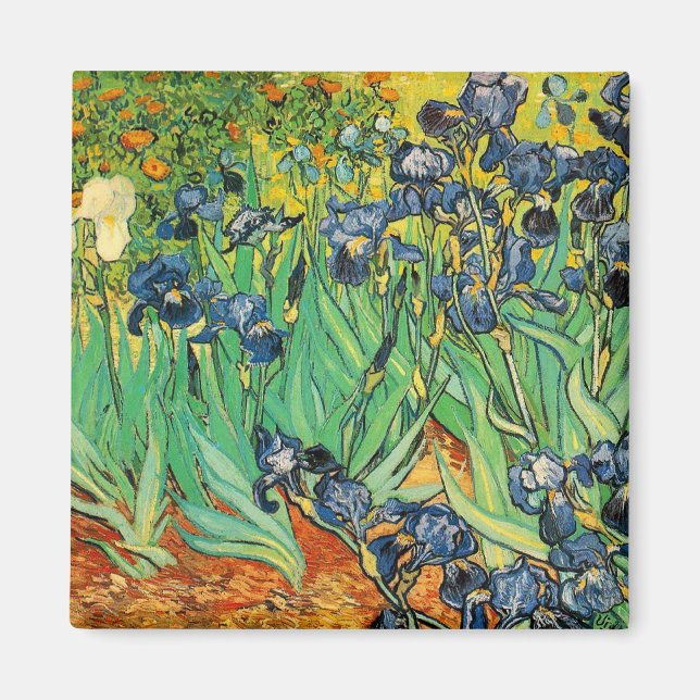 Vicent van Gogh, Irises Magnet (Front)