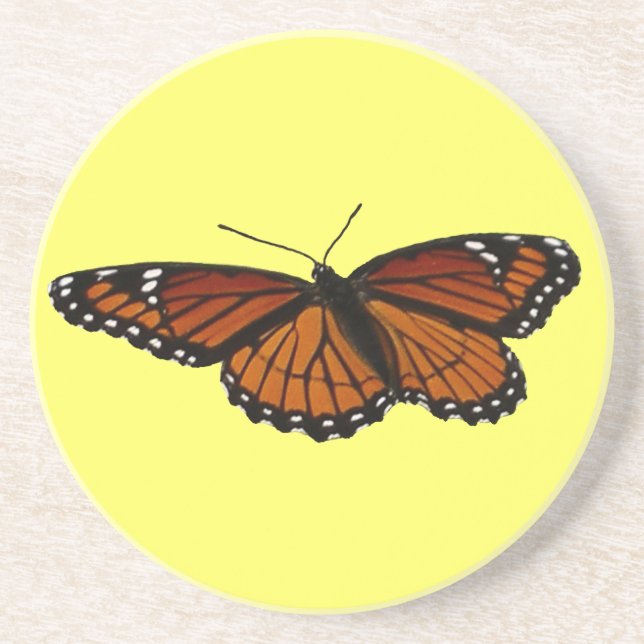 Viceroy Butterfly Beautiful Nature Photography Coaster (Front)