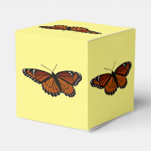 Viceroy Butterfly Beautiful Nature Photography Favor Box