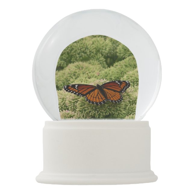 Viceroy Butterfly Beautiful Nature Photography Snow Globe (Front)