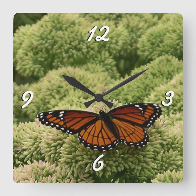 Viceroy Butterfly Beautiful Nature Photography Square Wall Clock (Front)