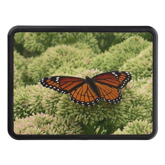 Viceroy Butterfly Beautiful Nature Photography Trailer Hitch Cover (Front)