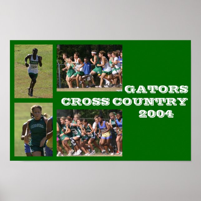 vicks poster (Front)