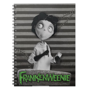 Victor  Frankenstein Notebook