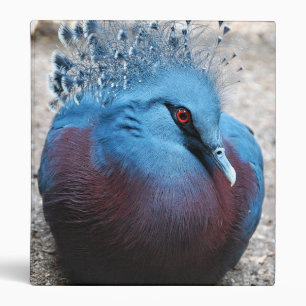 Victoria Crowned Pigeon Binder