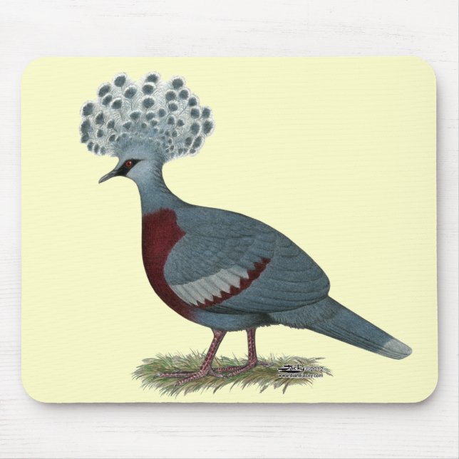 Victoria Crowned Pigeon Mouse Pad (Front)