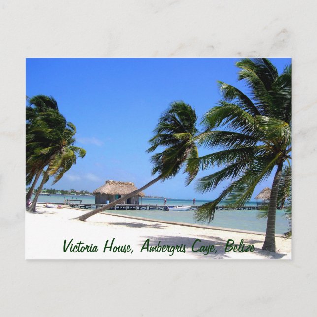 Victoria House Ambergris Caye Belize Postcard (Front)