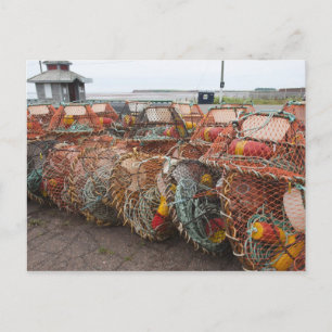 Victoria, Prince Edward Island. Crab pots Postcard