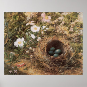 Victorian Art, Birds Nest and Dog Roses by JW Hill Poster