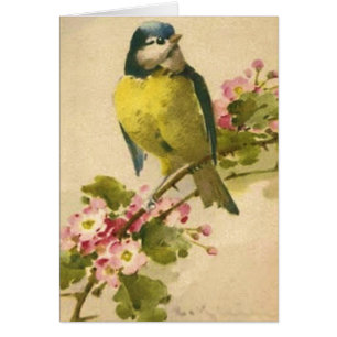 Victorian Bird Illustration