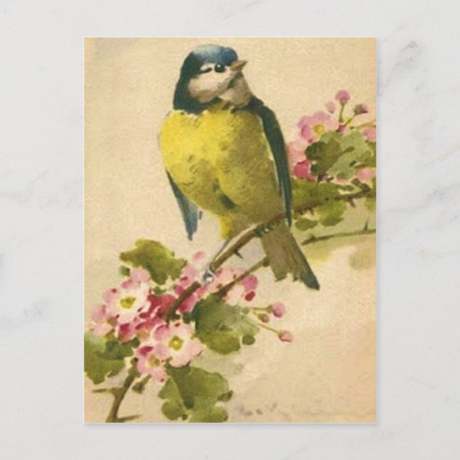 Victorian Bird Illustration Postcard (Front)
