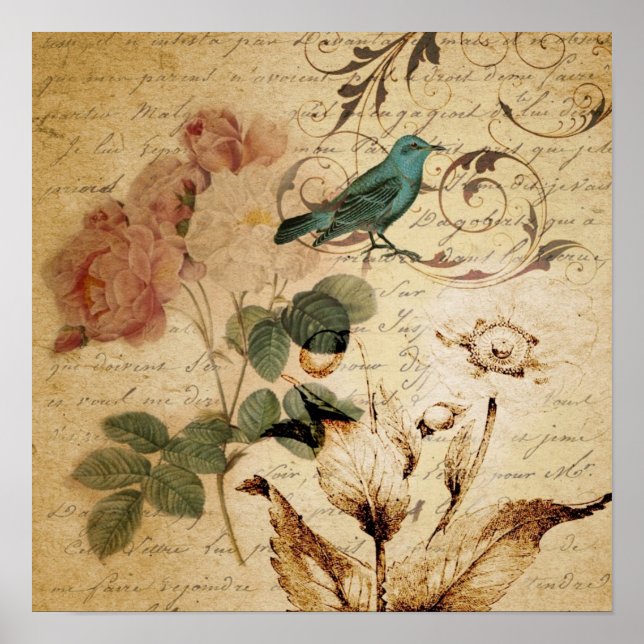 victorian bird Paris French Botanical Rose Poster (Front)