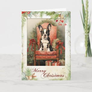 Victorian Boston Terrier Puppy Christmas Holiday Card