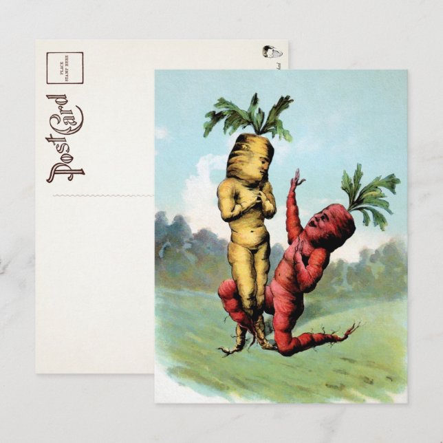 Victorian Carrot Proposal Postcard  (Front/Back)