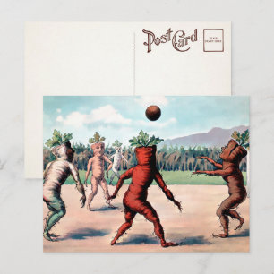 Victorian Carrots Playing Ball Postcard