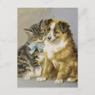 Victorian cat and dog intimate friendship postcard