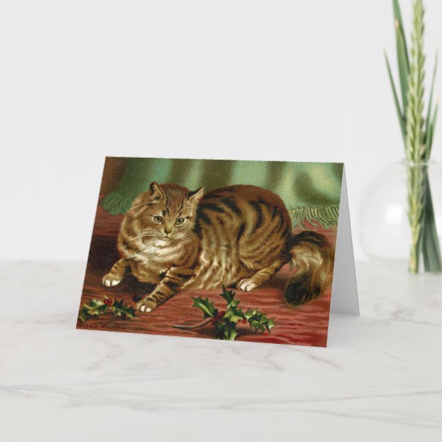 Victorian Cat Christmas Card Helena Maguire (Front)