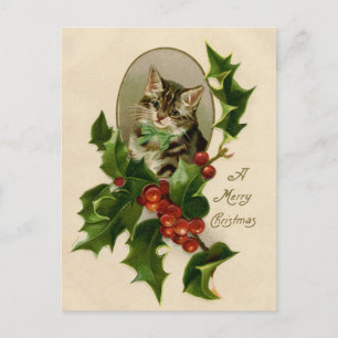 Victorian Christmas Kitten in Holly Antique Tabby Postcard