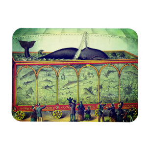 Victorian circus vintage exhibition magnet