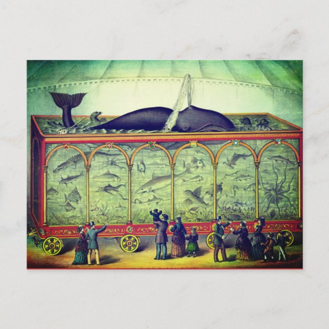 Victorian circus vintage exhibition  postcard (Front)