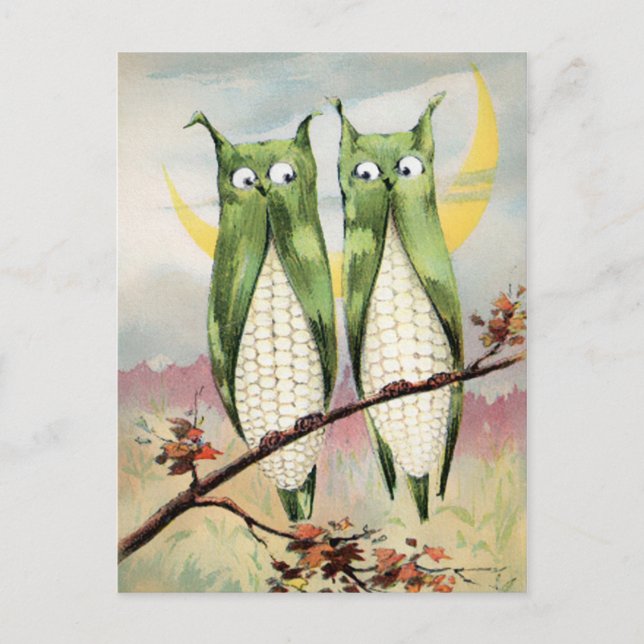 Victorian Corn Owls Postcard (Front)