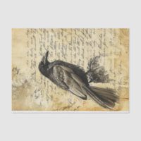 Victorian Gothic Vintage Writing Raven Decoupage