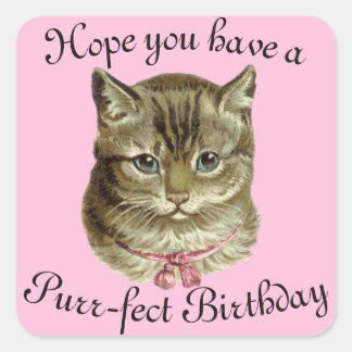 Victorian Happy Birthday Kitty Wishes Square Sticker