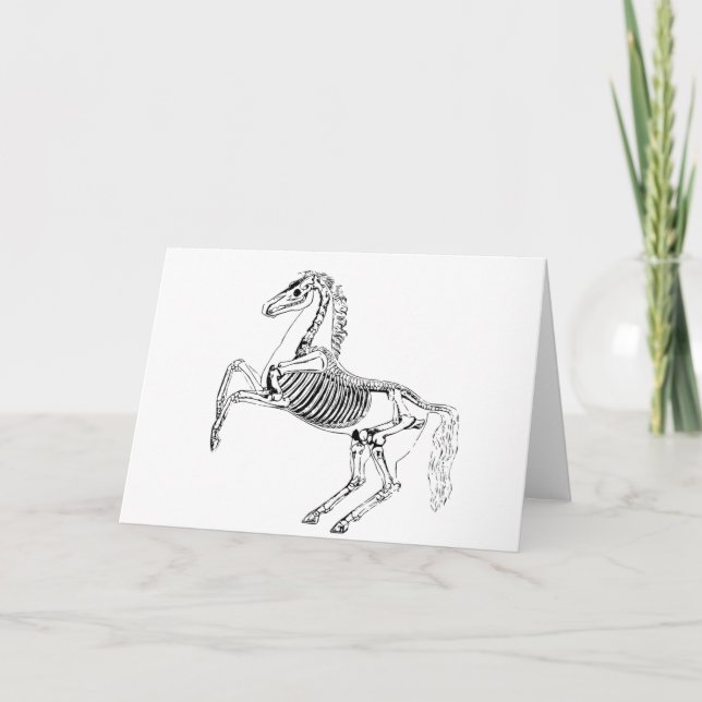 Victorian Horse Skeleton Illustration Card (Front)