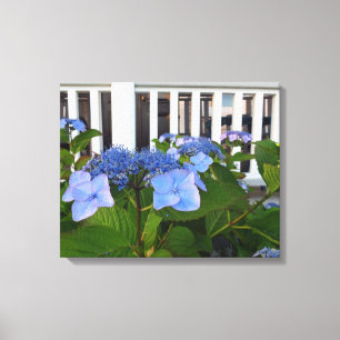 Victorian Hydrangea and Porch - Martha's Vineyard Canvas Print