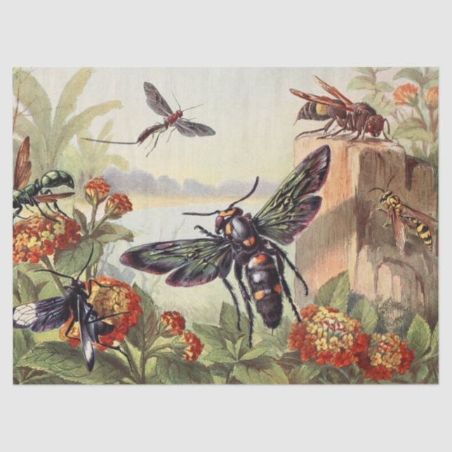 Victorian Insects Amongst Victorian Flowers Tissue Paper (Front)