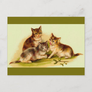 Victorian kittens postcard