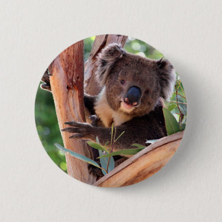 Victorian Koala 2 Inch Round Button