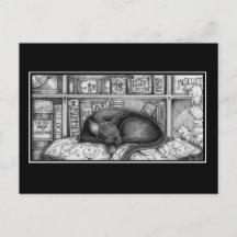 Victorian Library Cat